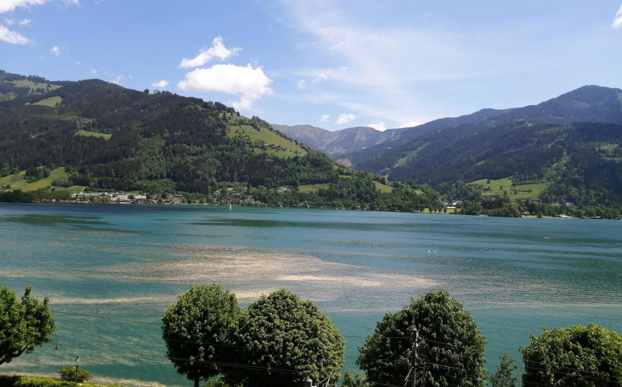 Apartment Lake View
