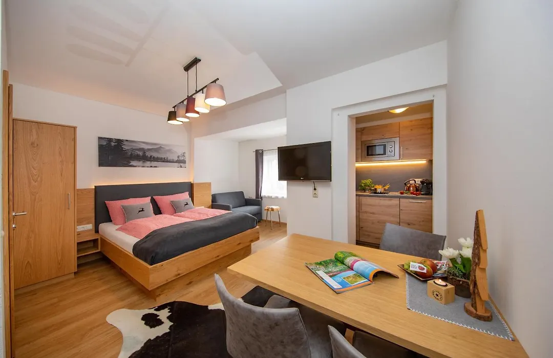 Haus Ditzer - Villa Theresia-1